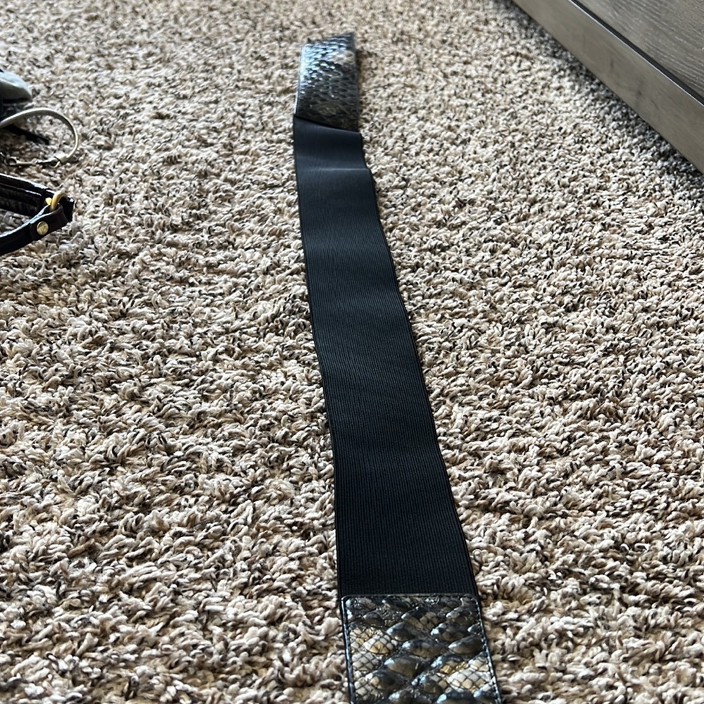 NWOT Accessory Belt - Picture 3 of 3